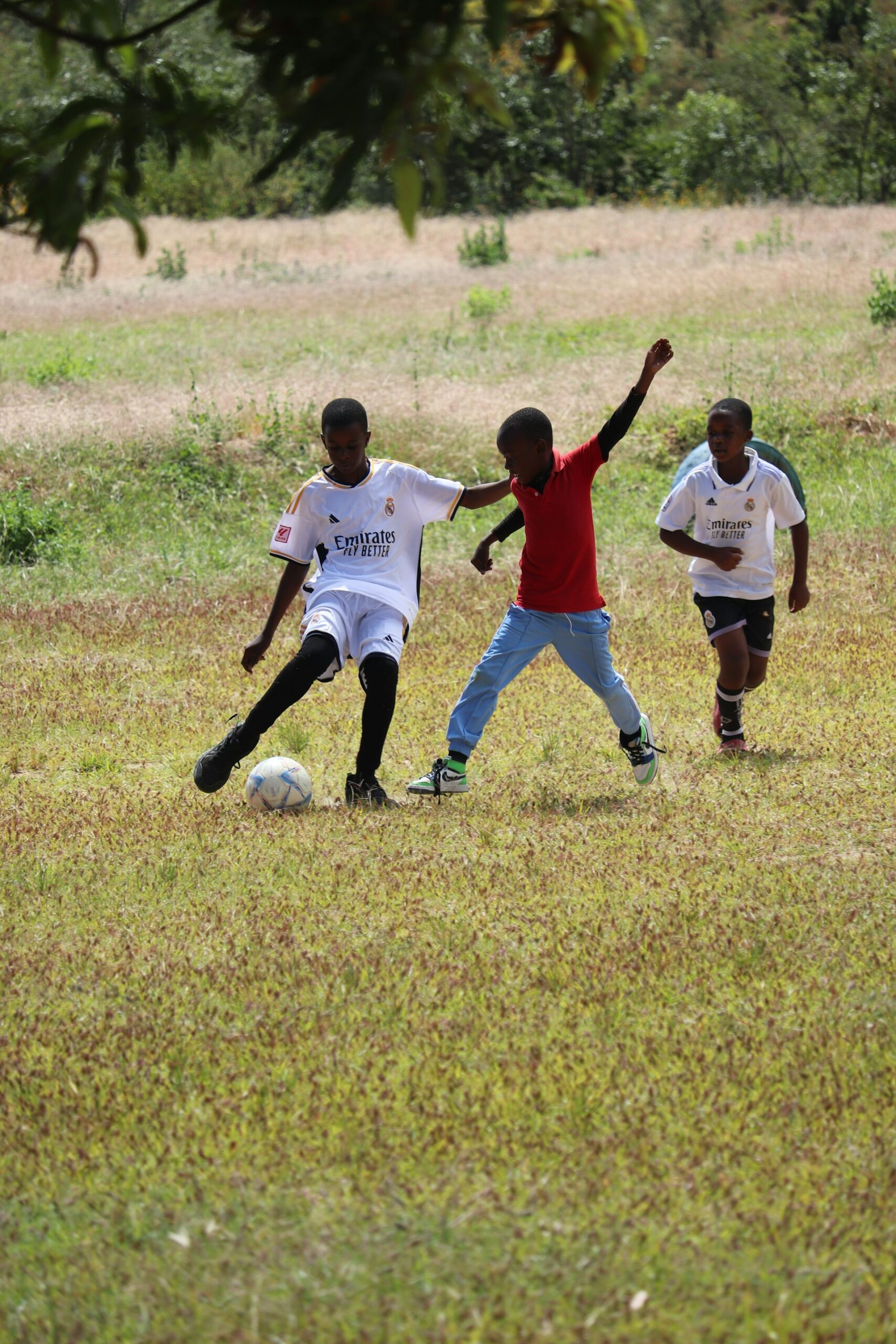Grassroots Sports: The Foundation of Talent Development and Community Growth