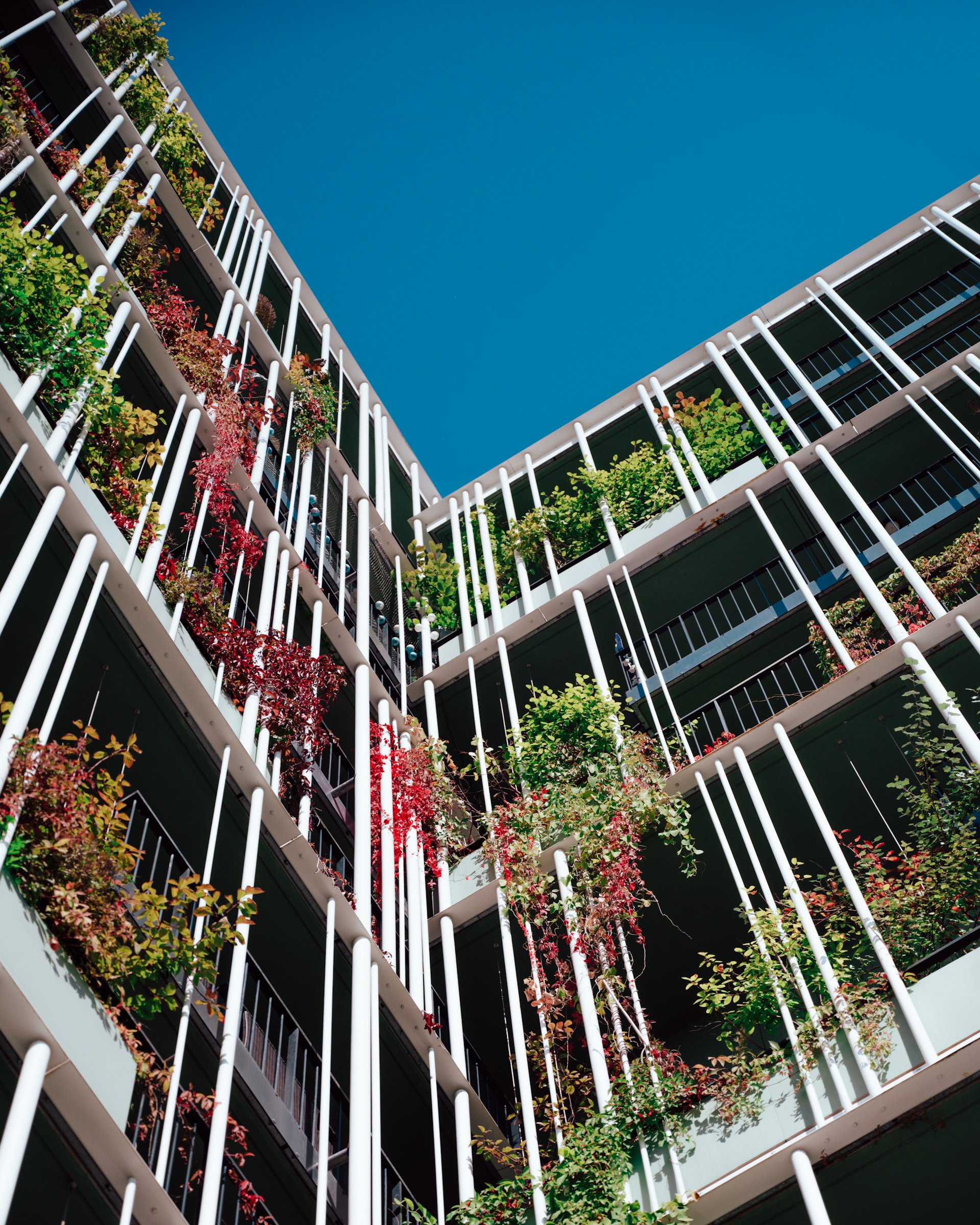 Unlocking Value: Trends and Strategies in Adaptive Reuse of Commercial Buildings