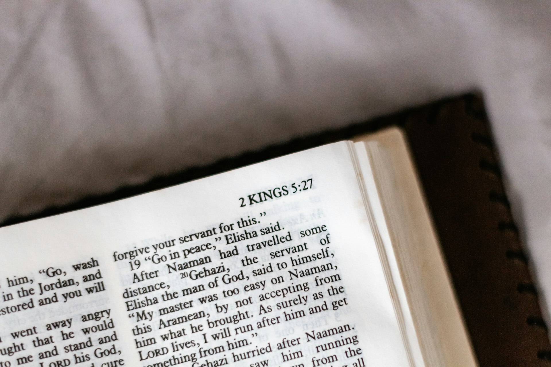 What the Bible Says About Pets Going to Heaven: Faith, Hope, and Scriptural Insight
