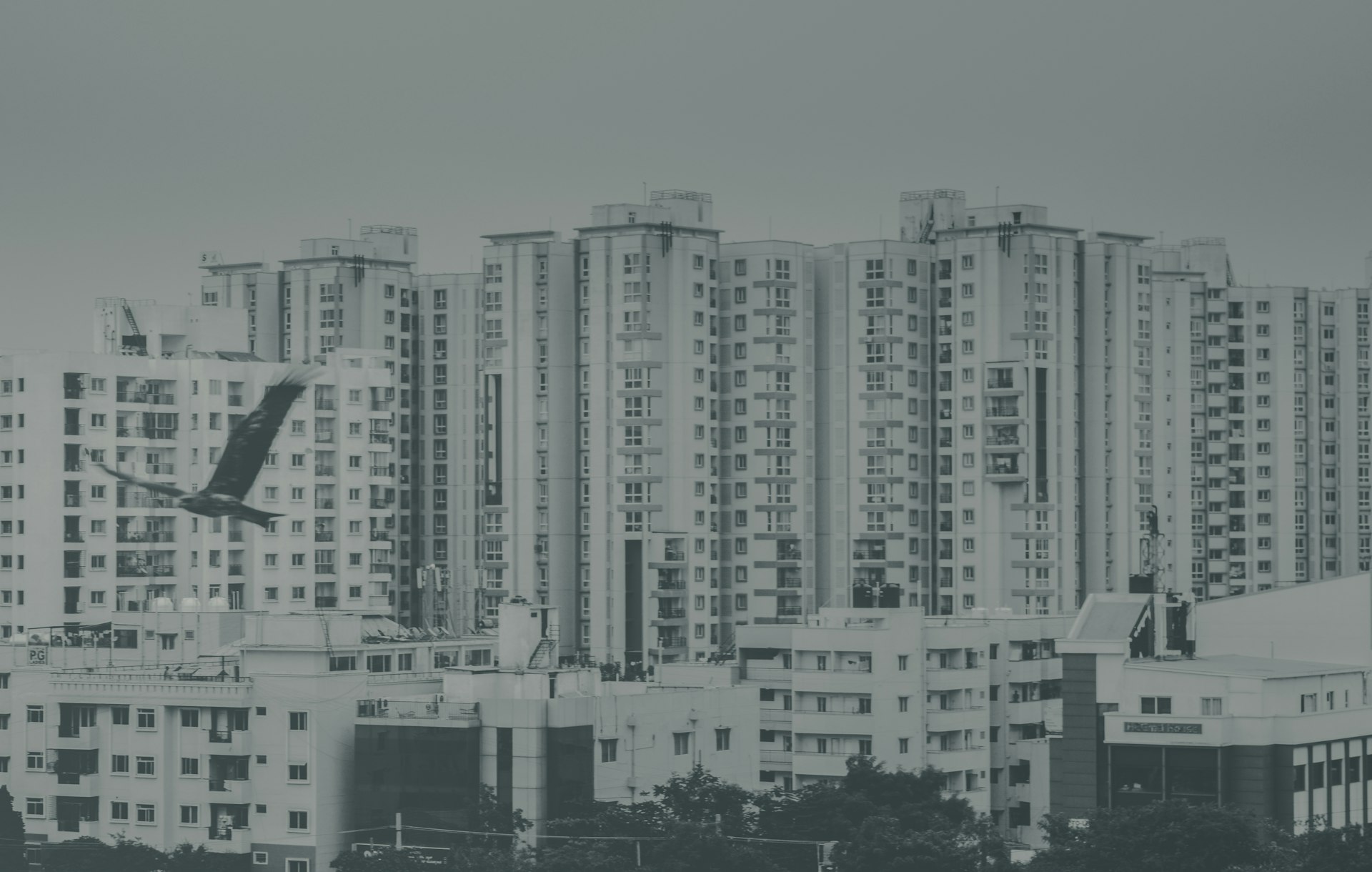Understanding Real Estate Option Contracts: Flexibility, Process, and Strategic Value