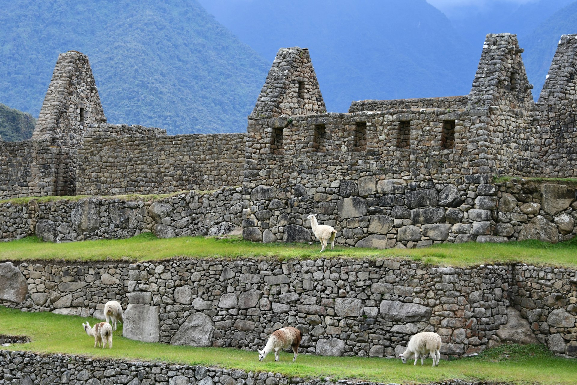 Understanding Religion in Peru: Cultural Roots, Current Trends, and Practical Insights