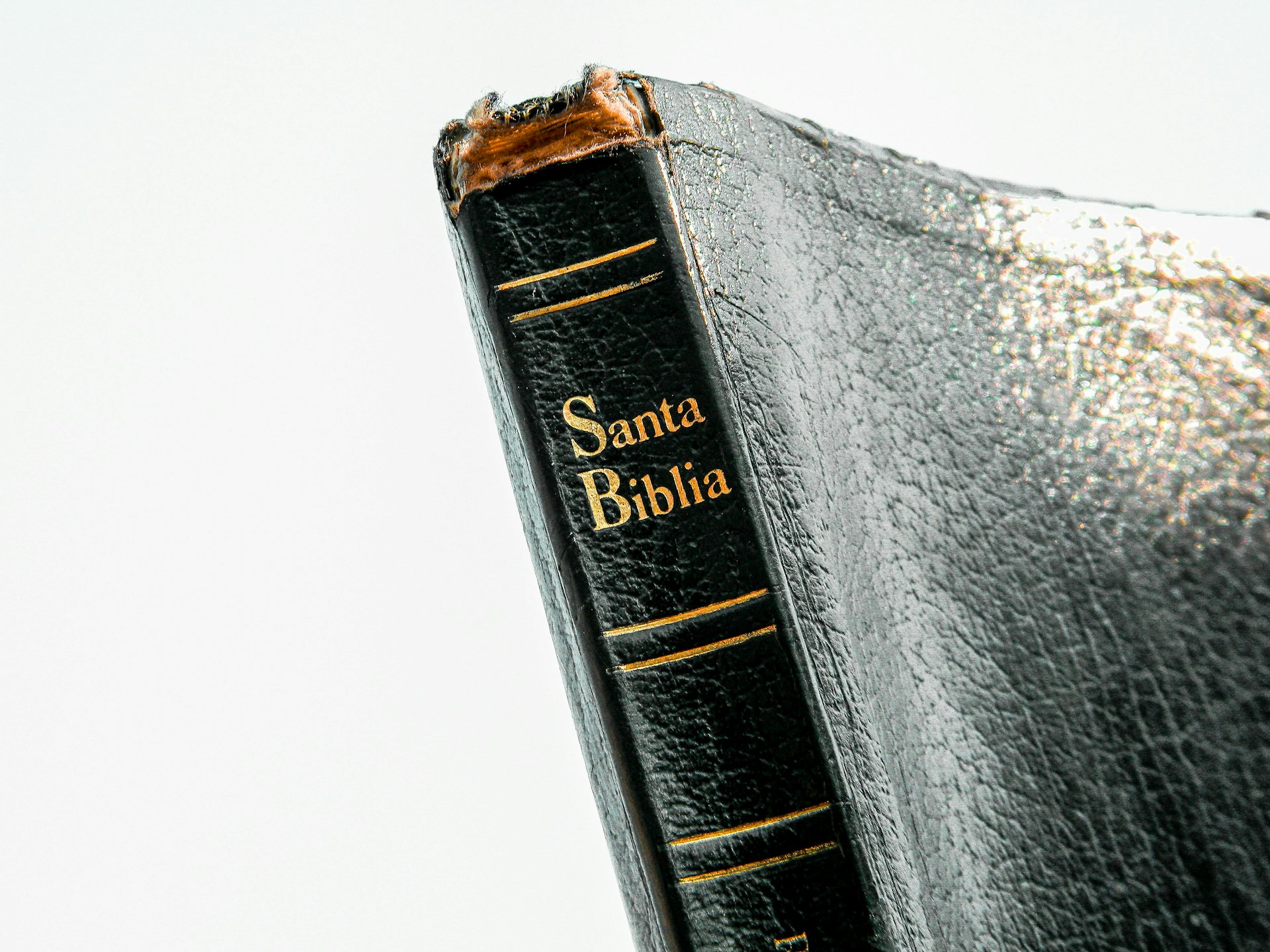 Understanding Ben Carson's Faith: Seventh-day Adventist Roots and Christian Values
