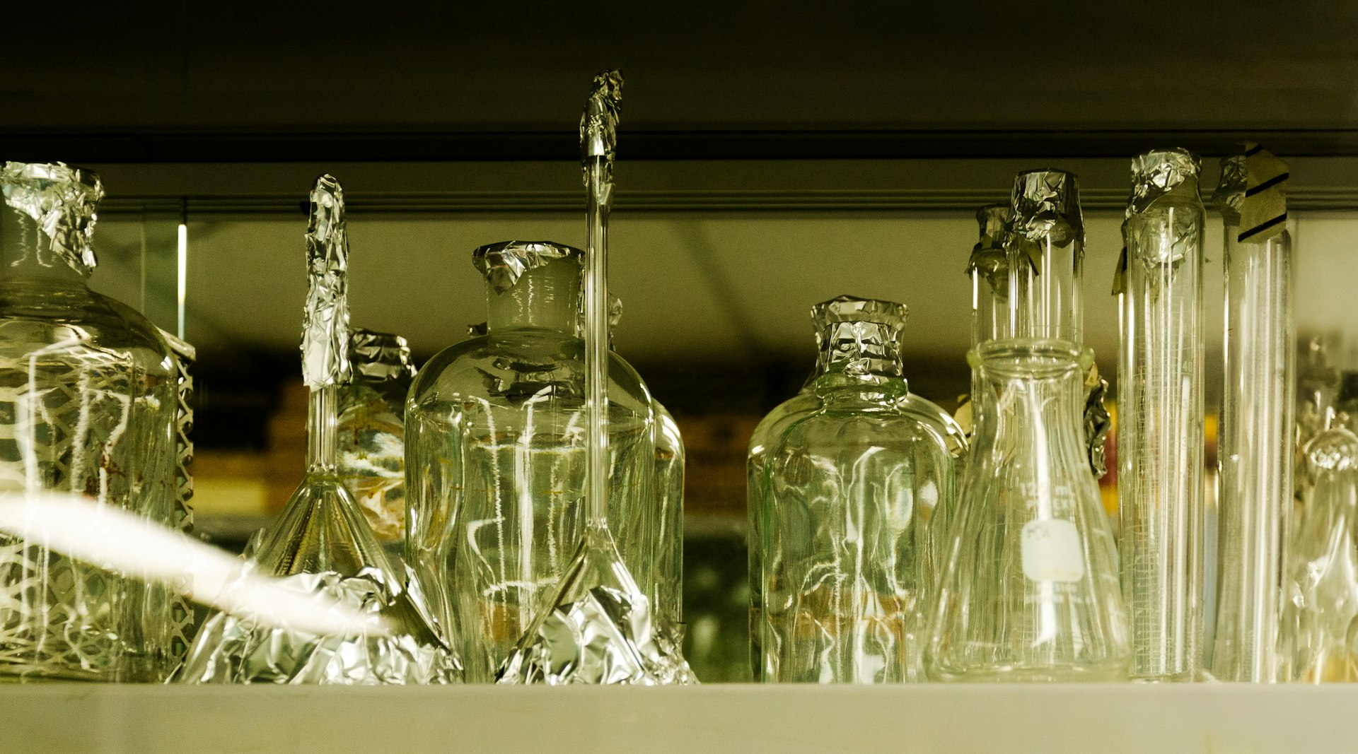Understanding Scientific Classification: Organizing the Natural World