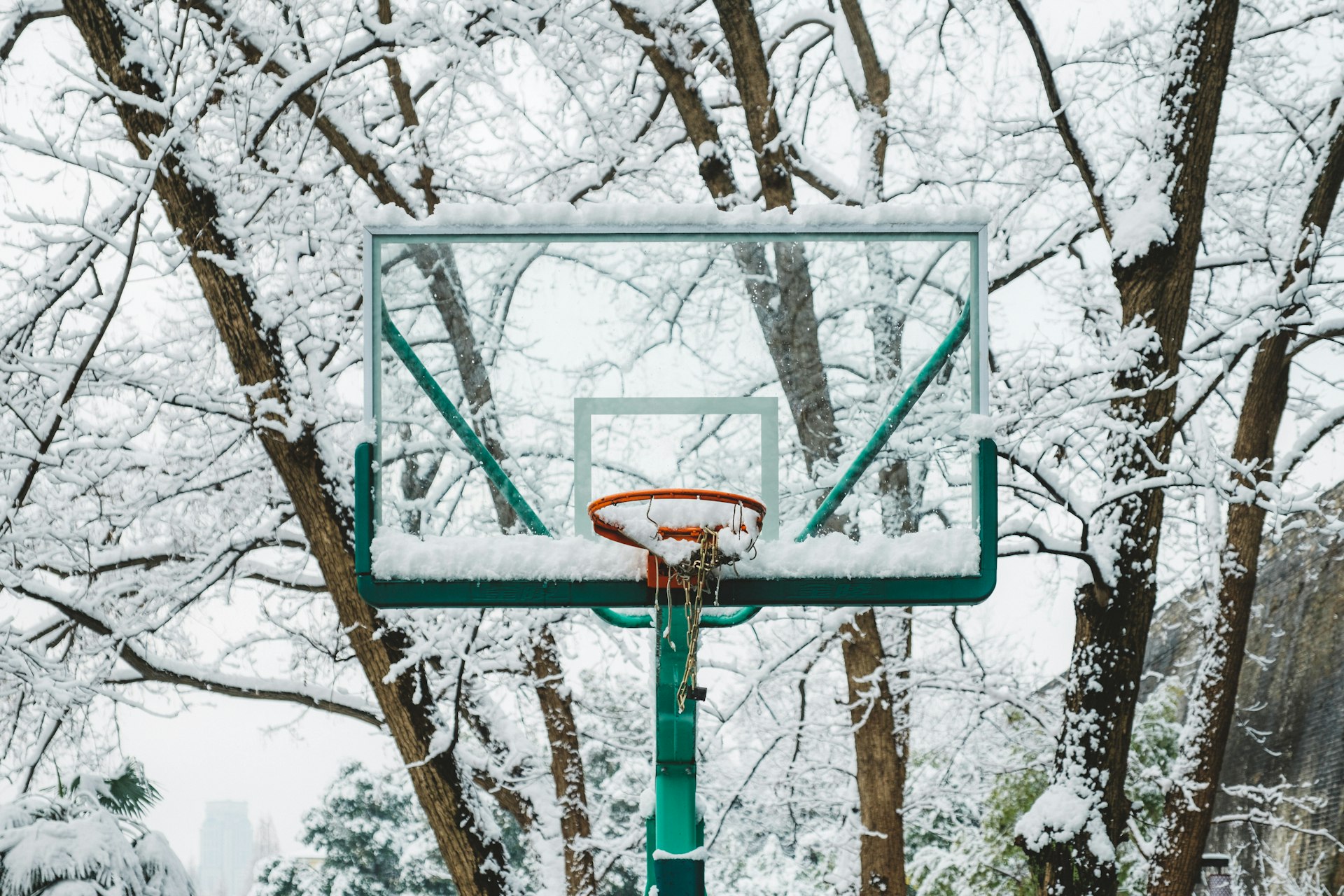 Optimizing Sports Performance During Seasonal Transitions: Key Strategies for Peak Results
