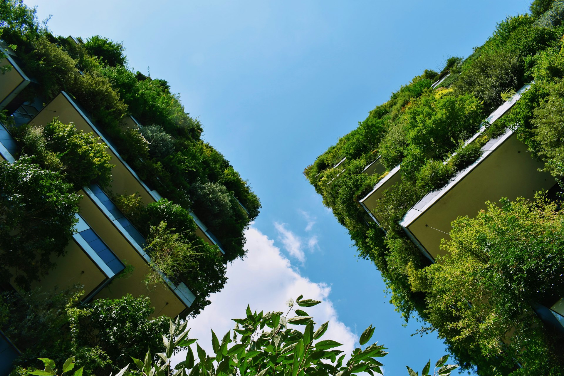 Navigating Sustainable Construction Recognition and Its Impact on Property Markets